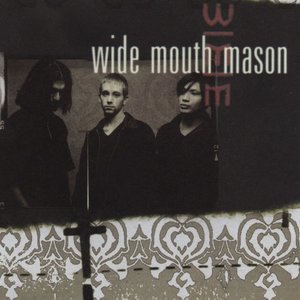 Wide Mouth Mason/Wide Mouth Mason [LP]