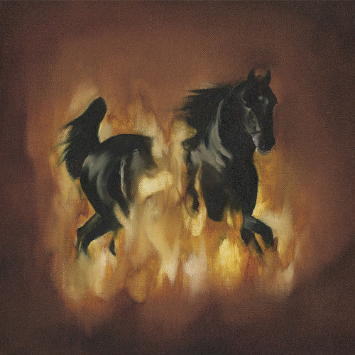 Besnard Lakes/Are the Dark Horse [LP]