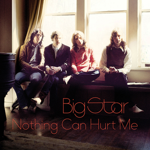 Big Star/Nothing Can Hurt Me [LP]