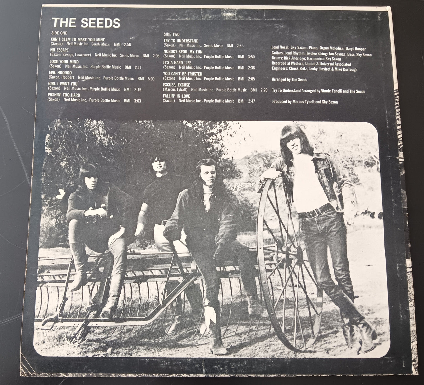 [Used LP] Seeds, The / The Seeds