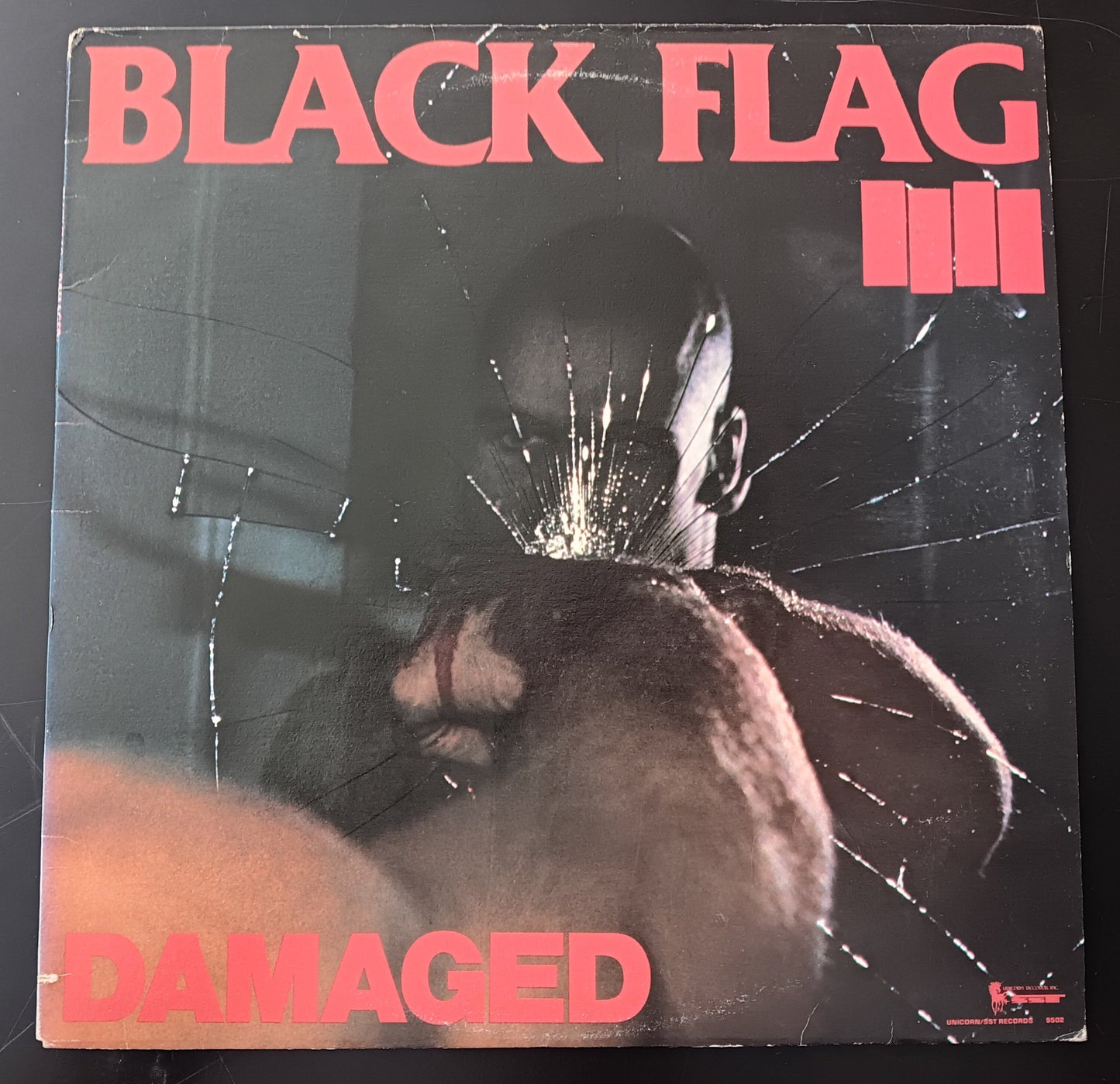 [Used LP] Black Flag / Damaged