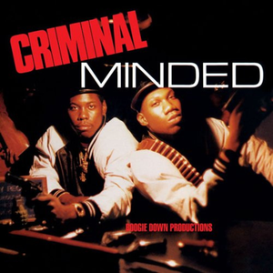 Boogie Down Productions/Criminal Minded [LP]