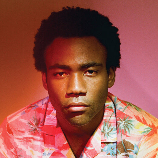 Childish Gambino/Because The Internet [LP]