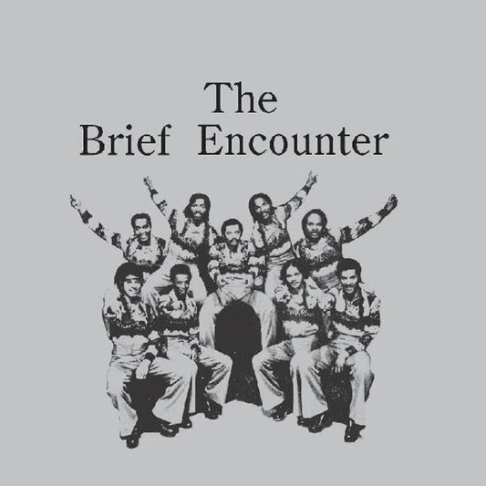 Brief Encounter, The/Introducing The Brief Encounter (Smoky Mountain Vinyl) [LP]