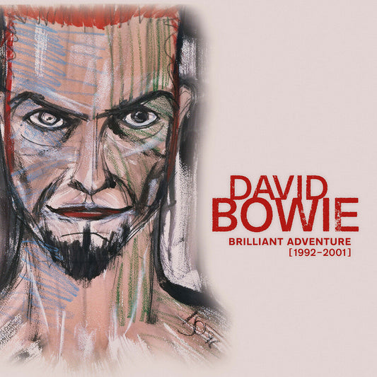 Bowie, David/Brilliant Adventure 1992-2001 (18LP Box Set)