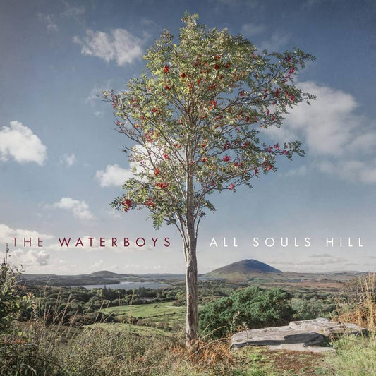 Waterboys, The/All Souls Hill [LP]