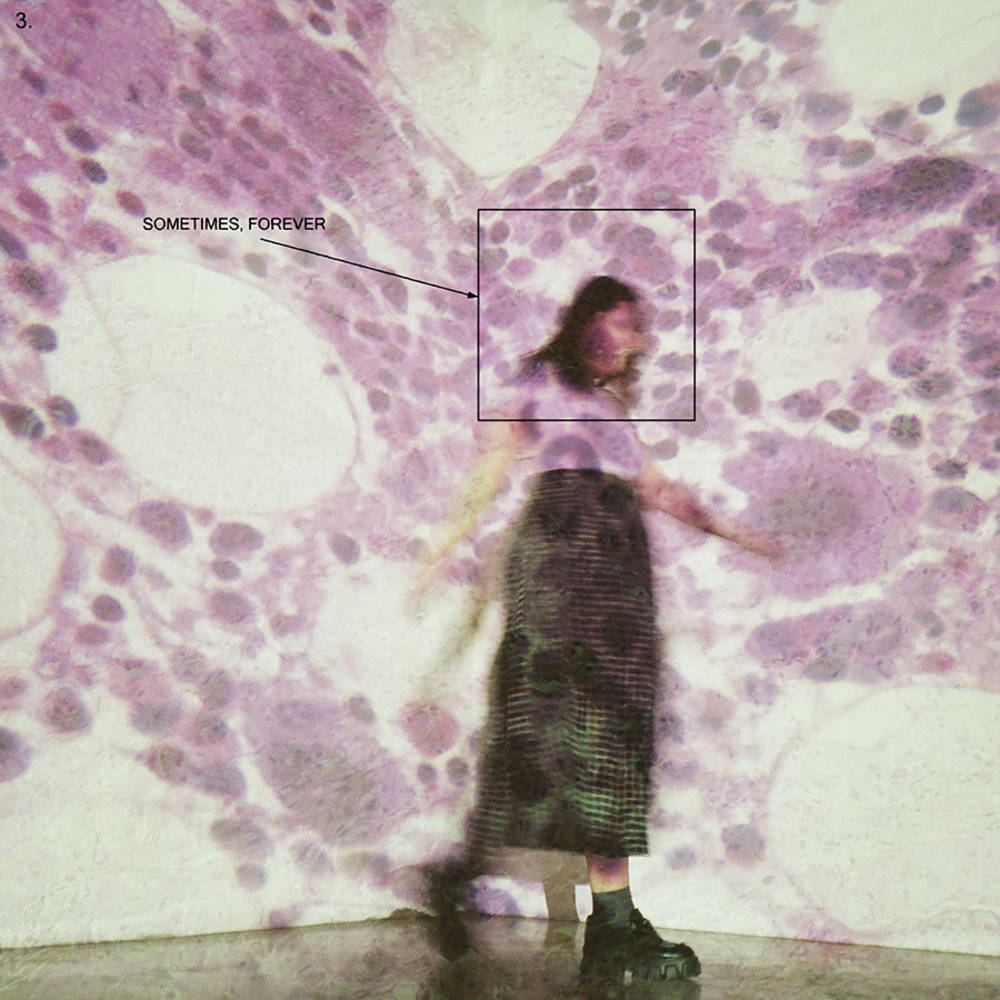 Soccer Mommy/Sometimes, Forever (Pink/Black Splatter Vinyl) [LP]