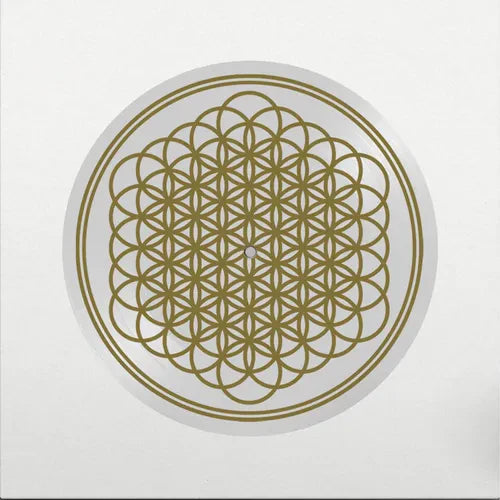 Bring Me The Horizon/Sempiternal (10th Anniversary Picture Disc Edition) [LP]