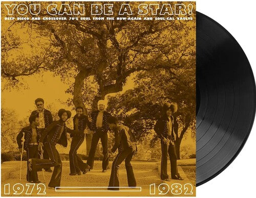 Various Artists/You Can Be A Star!: Deep Disco & Crossover Soul 1972-1982 [LP]