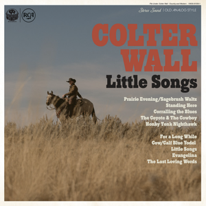 Wall, Colter/Little Songs (Blue Vinyl) [LP]