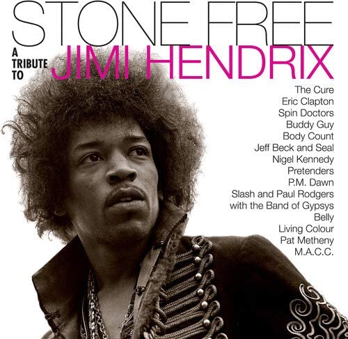 Various Artists/Stone Free: Jimi Hendrix Tribute (Black/Clear Vinyl) [LP]