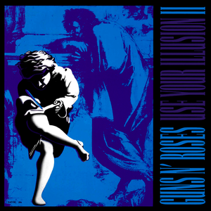 Guns N Roses/Use Your Illusion II [LP]