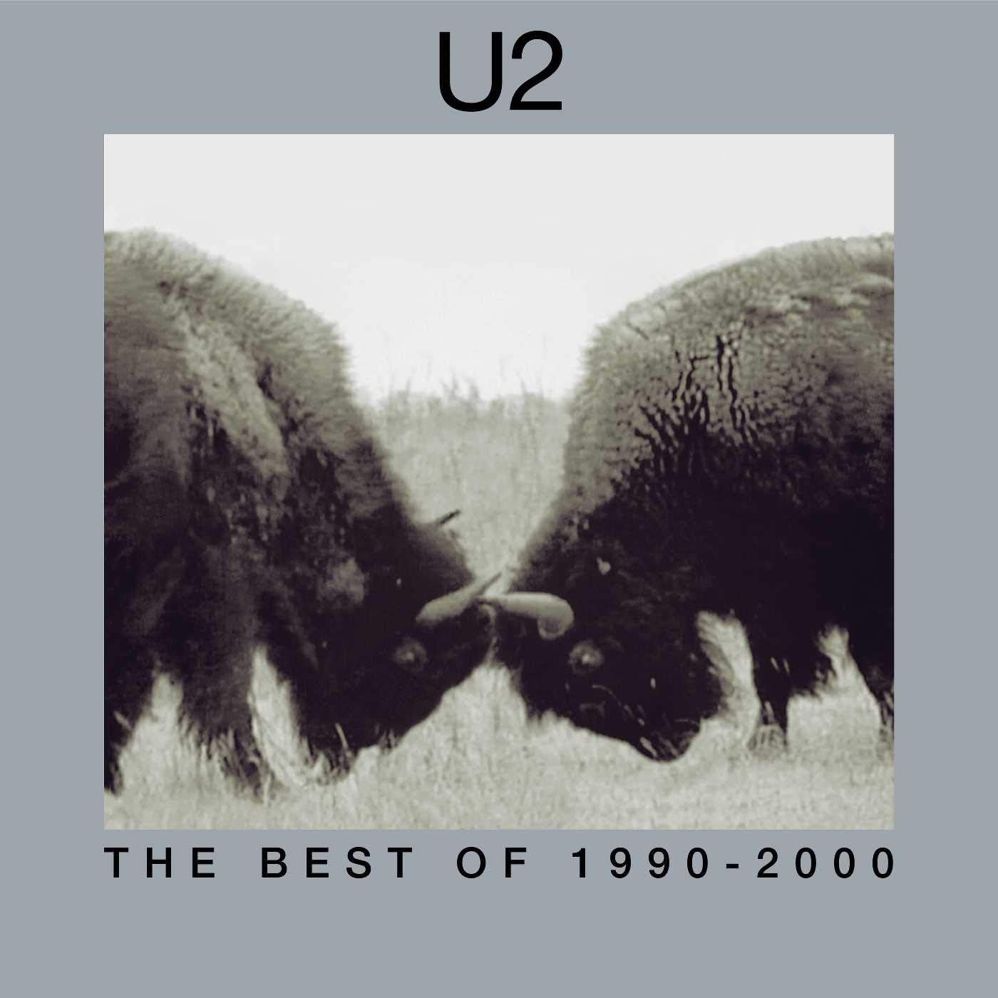 U2/The Best Of 1990 - 2000 [LP]