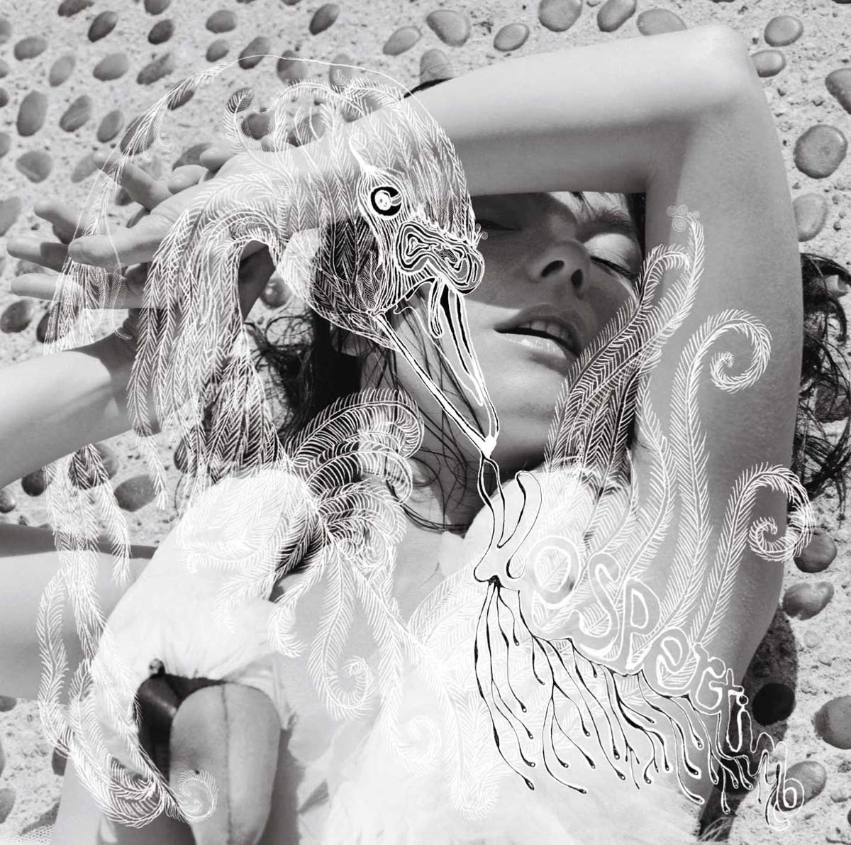 Bjork/Vespertine [LP]