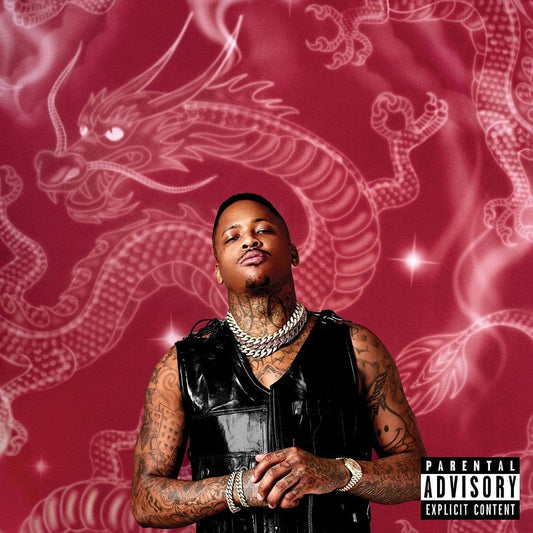 YG/Stay Dangerous [LP]