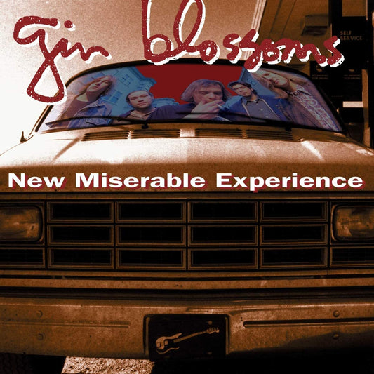 Gin Blossoms/New Miserable Experience [LP]