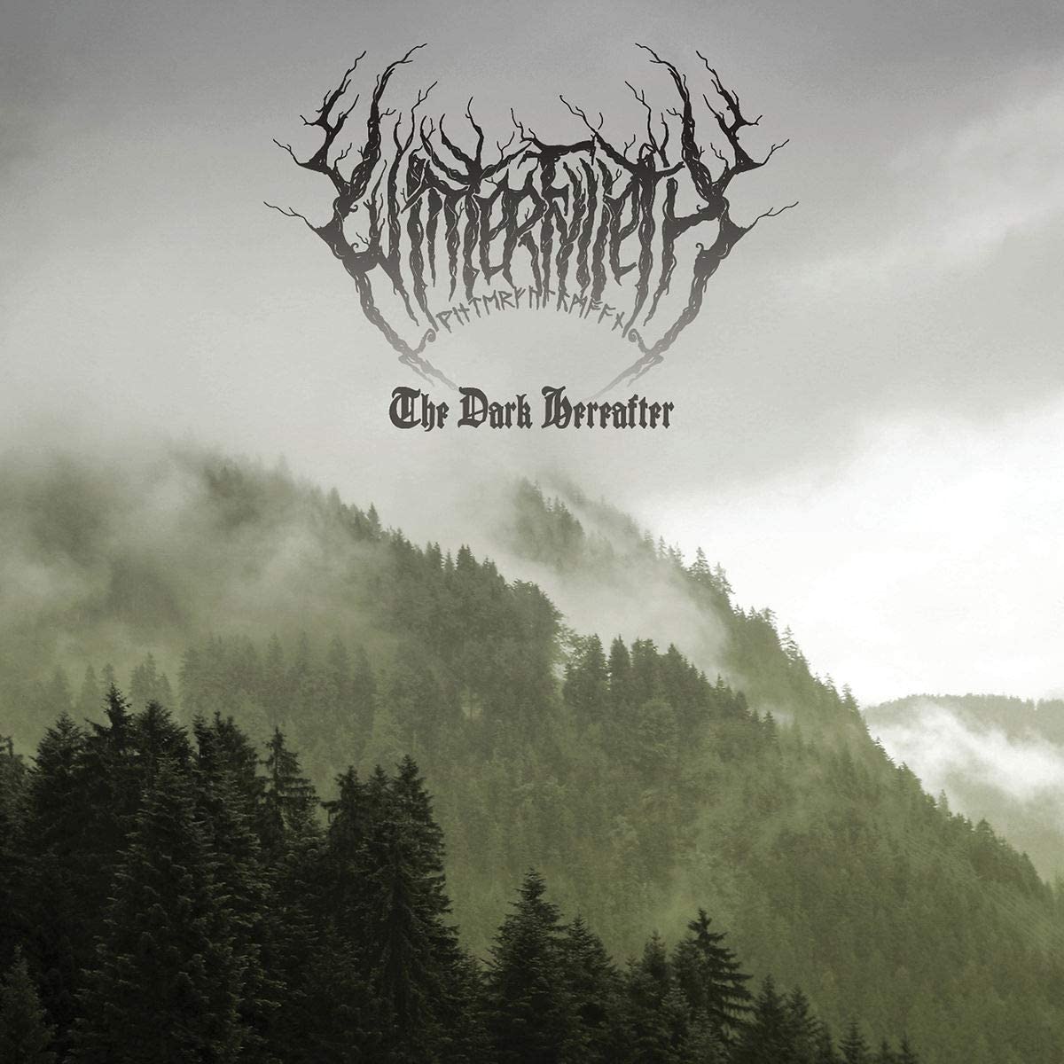 Winterfylleth/The Dark Hereafter [LP]