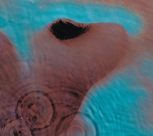 Pink Floyd/Meddle [LP]