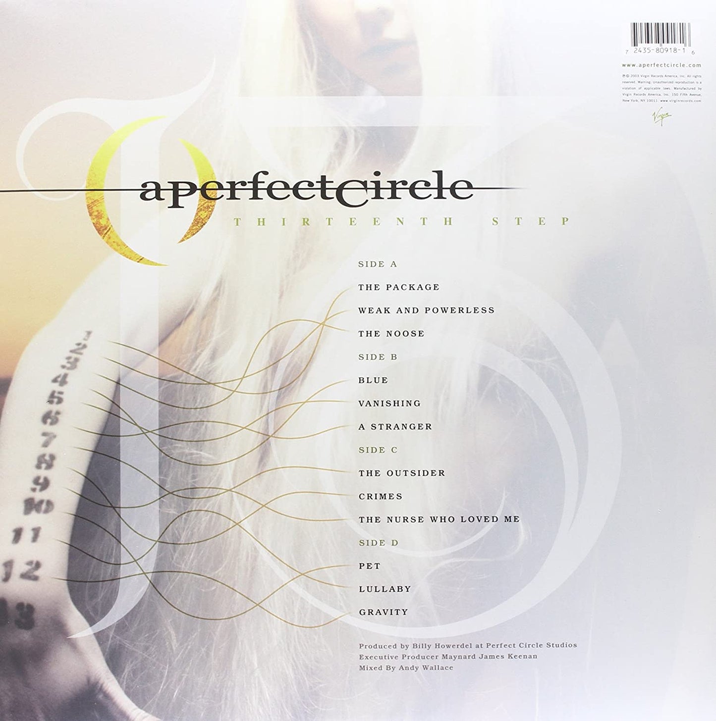 A Perfect Circle/Thirteenth Step [LP]