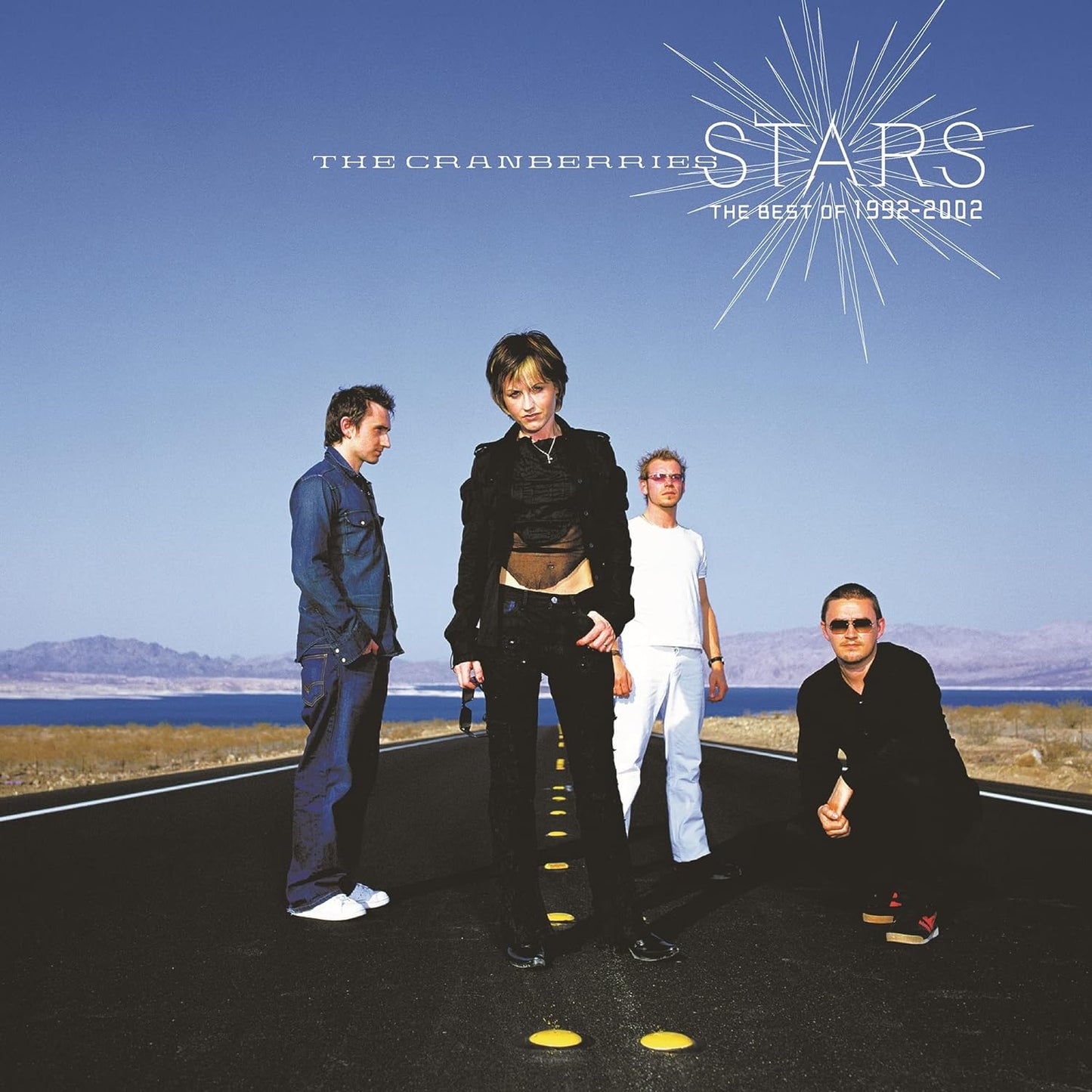 Cranberries, The/Stars: The Best Of 1992-2002 [LP]