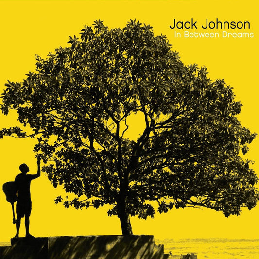 Johnson, Jack/In Between Dreams [LP]