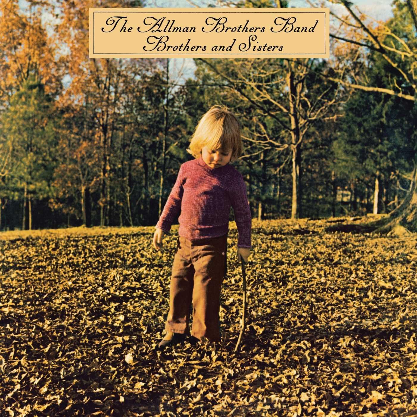 Allman Brothers Band/Brothers And Sisters [LP]