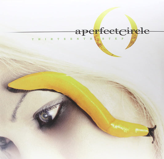 A Perfect Circle/Thirteenth Step [LP]