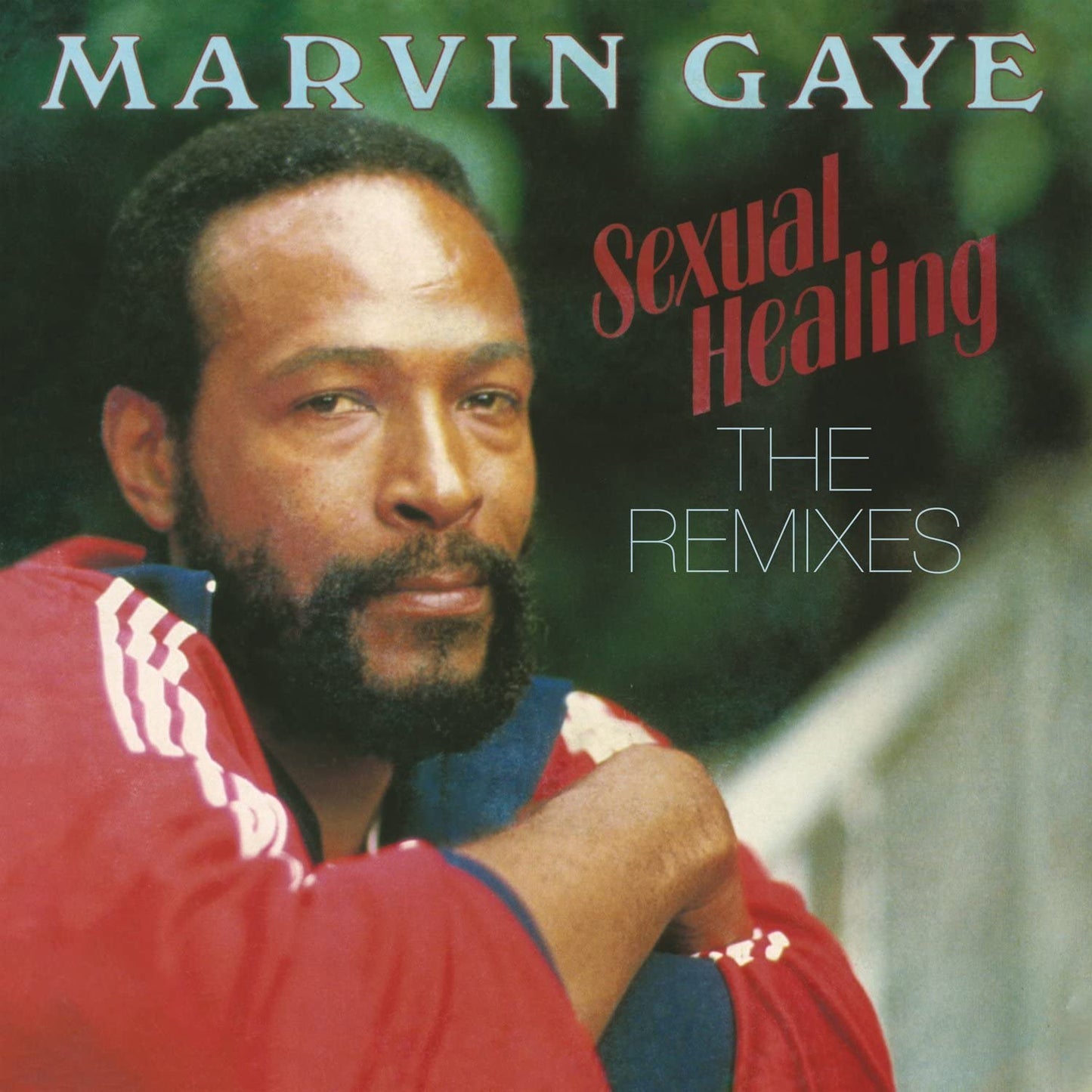 Gaye, Marvin/Sexual Healing - The Remixes [LP]