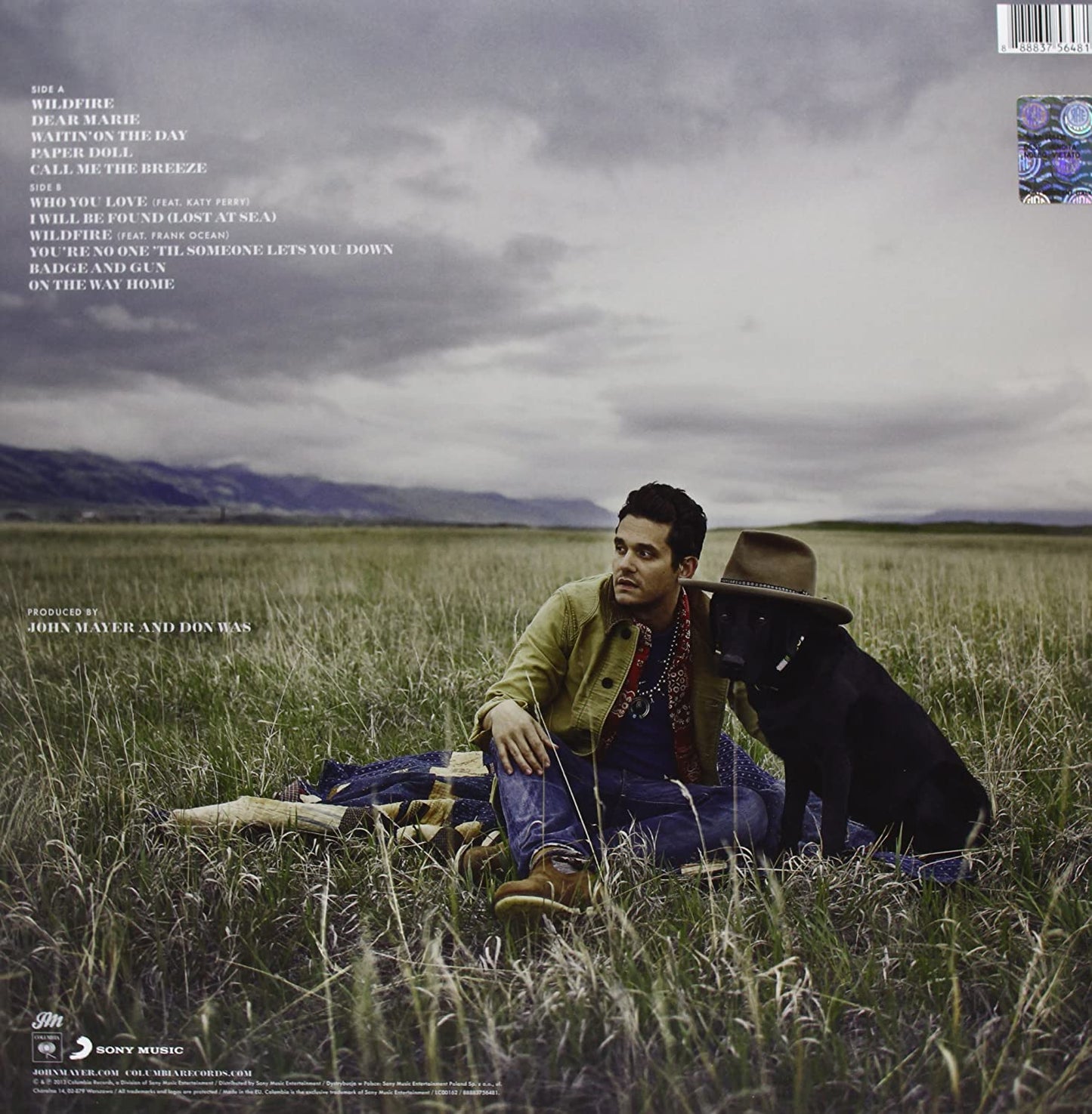 Mayer, John/Paradise Valley [LP]