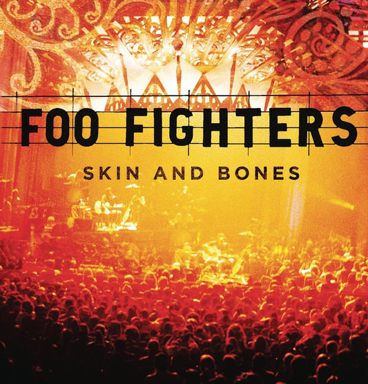 Foo Fighters/Skin And Bones [LP]