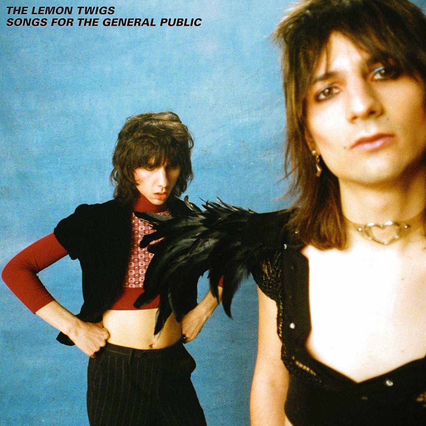 Lemon Twigs/Songs For the General Public [LP]