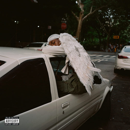 Blood Orange/Negro Swan [LP]