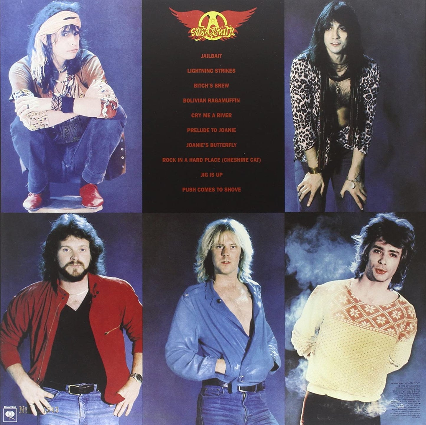 Aerosmith/Rock In A Hard Place [LP]