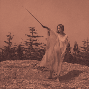 Unknown Mortal Orchestra/II: 10th Anniversary (Aluminum Vinyl) [LP]