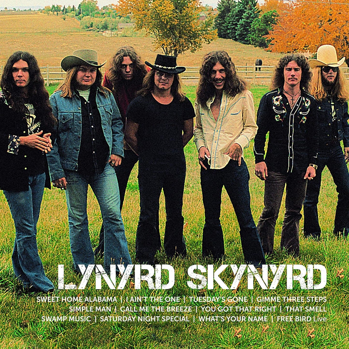 Lynyrd Skynyrd/Icon [LP]