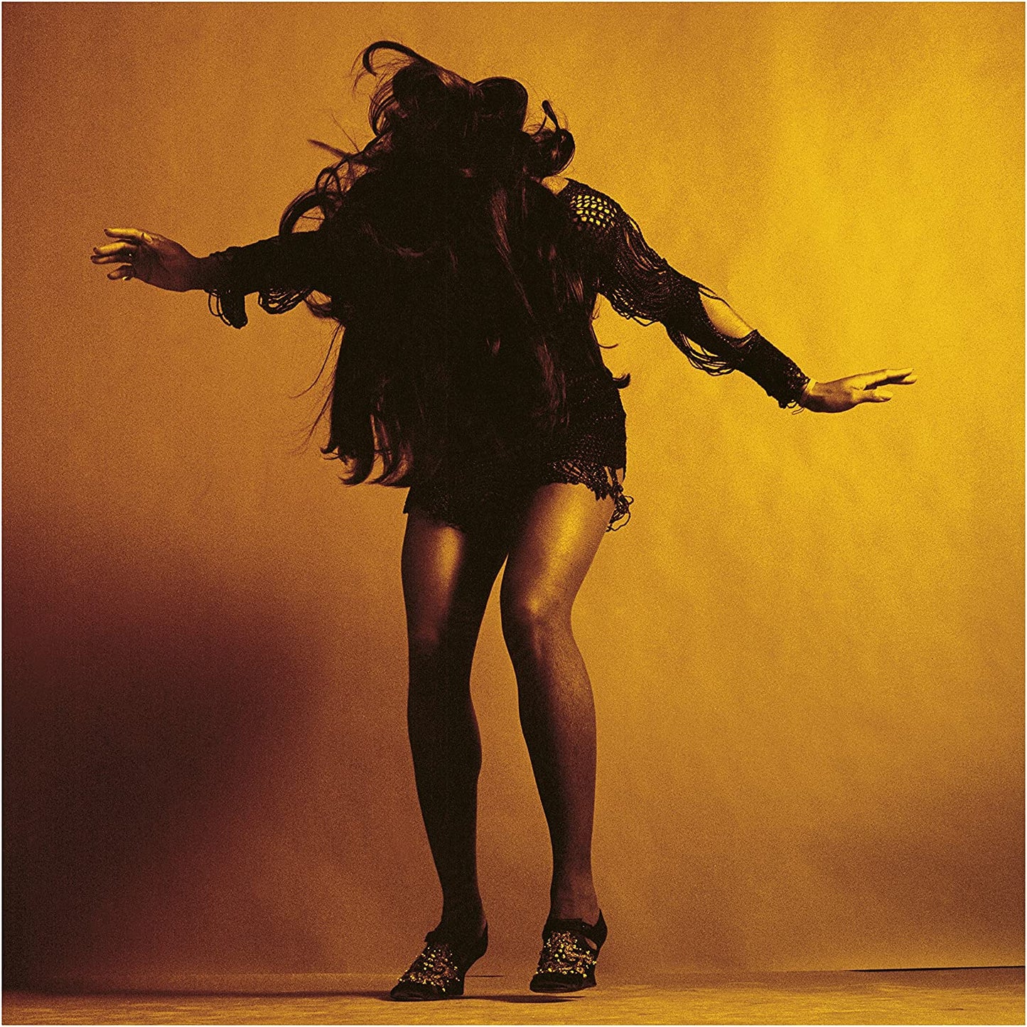 Last Shadow Puppets, The/Everything You've Come To Expect [LP]