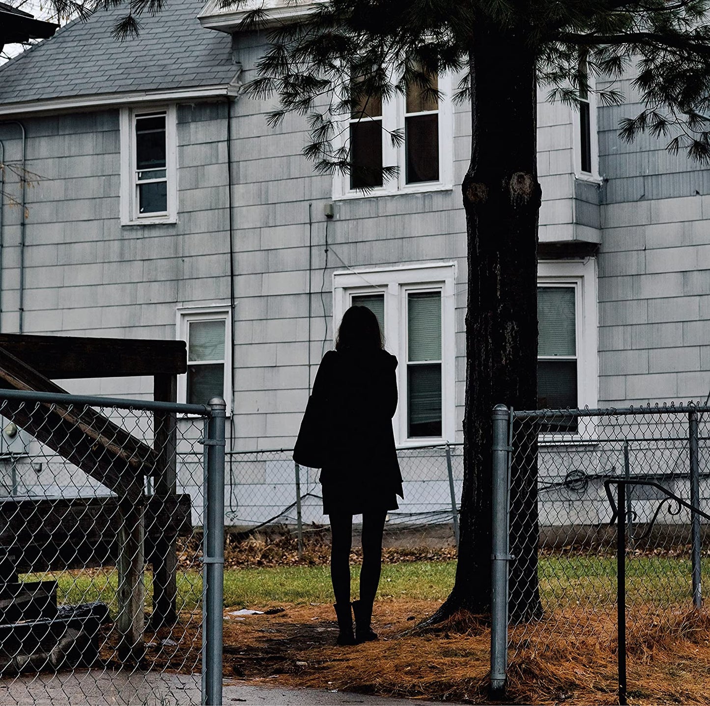 Tallest Man On Earth, The/Dark Bird Is Home [LP]