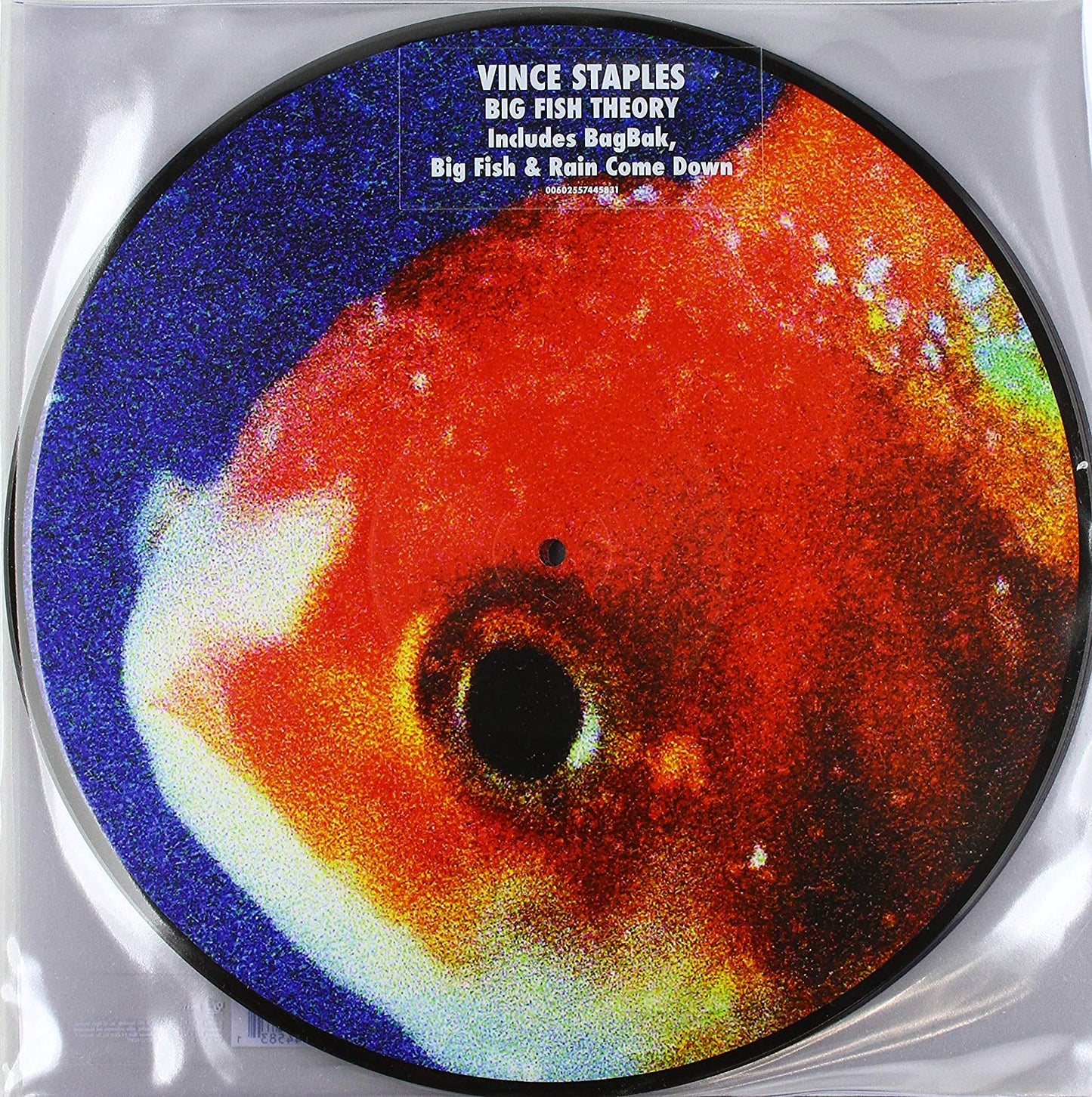 Staples, Vince/Big Fish Theory (Picture Disc) [LP]