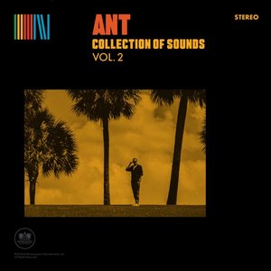 Ant/Collection Of Sounds Vol. 2 (Yellow Vinyl) [LP]