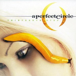 A Perfect Circle/Thirteen Step [LP]