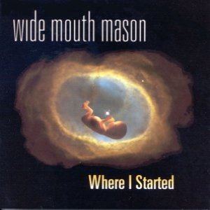 Wide Mouth Mason/Where I Started [LP]