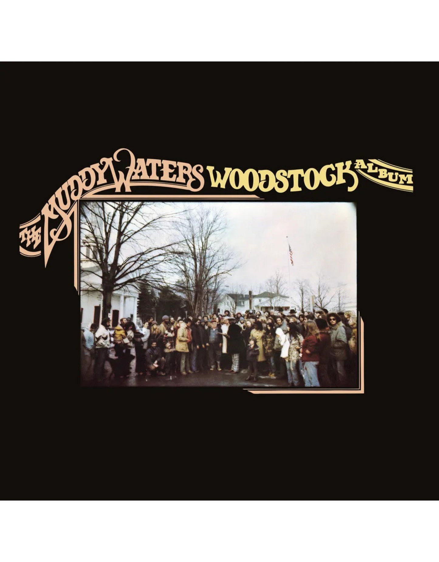 Waters, Muddy/The Muddy Waters Woodstock Album [LP]